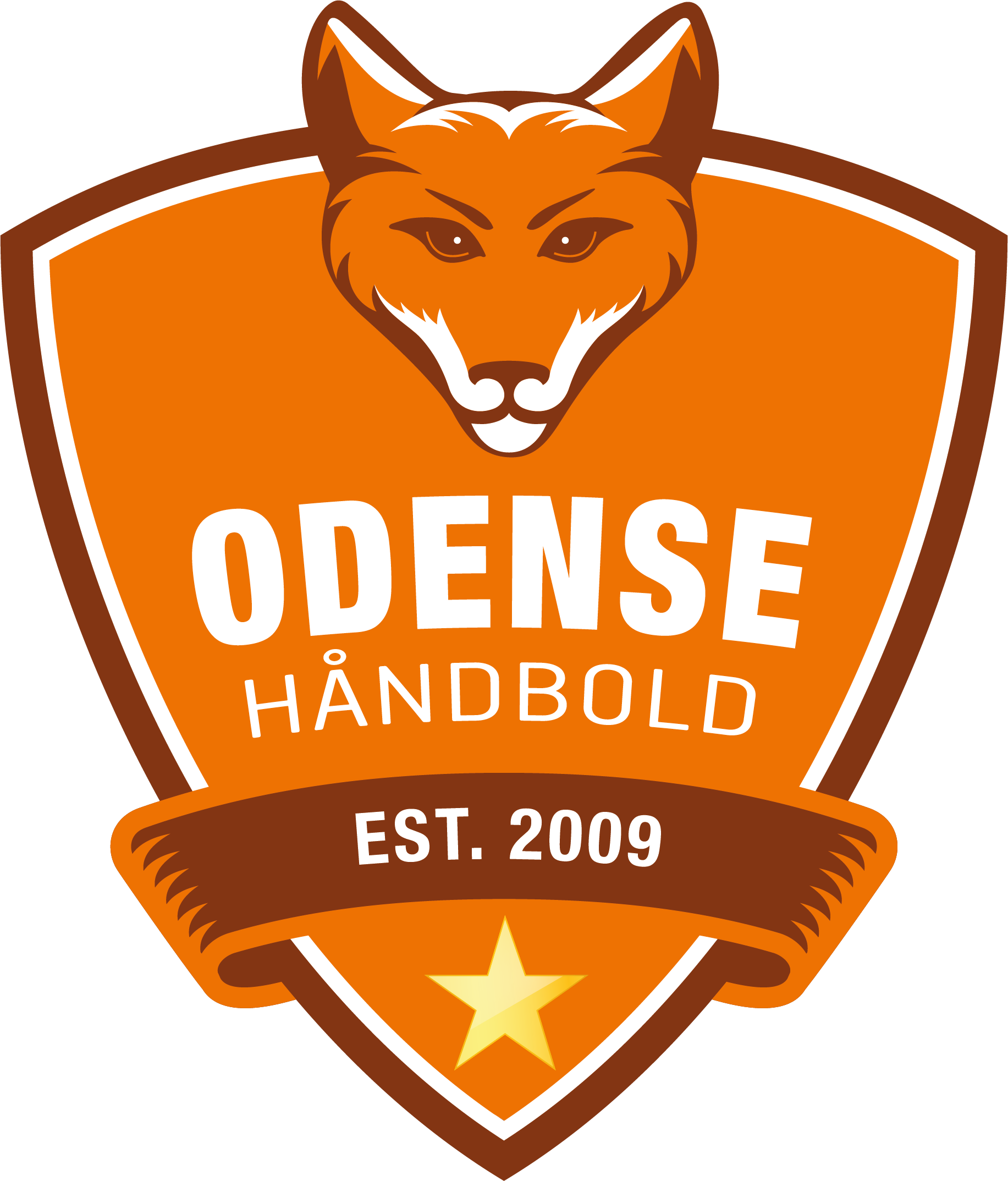 odensehaandbold